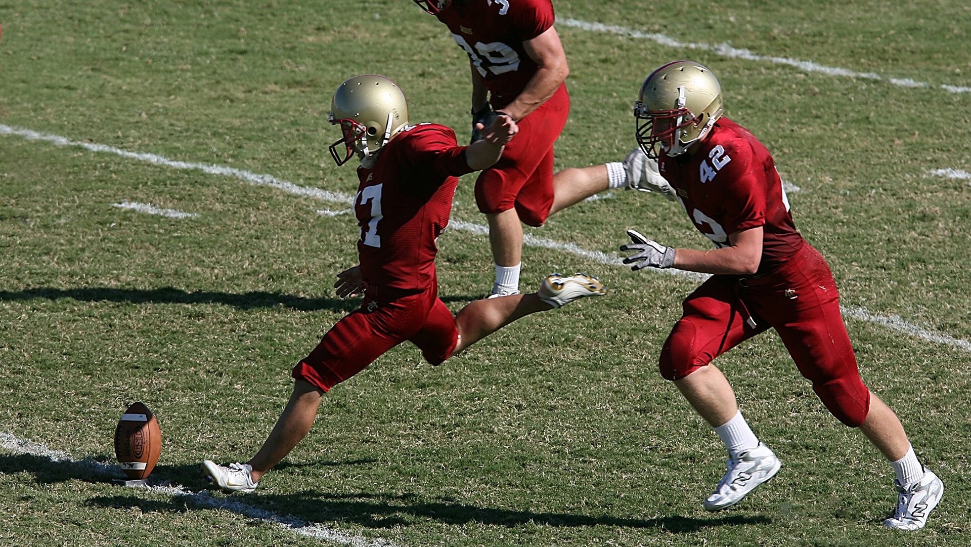 新闻中心发布人才培养方案，人才培养具体实施方案