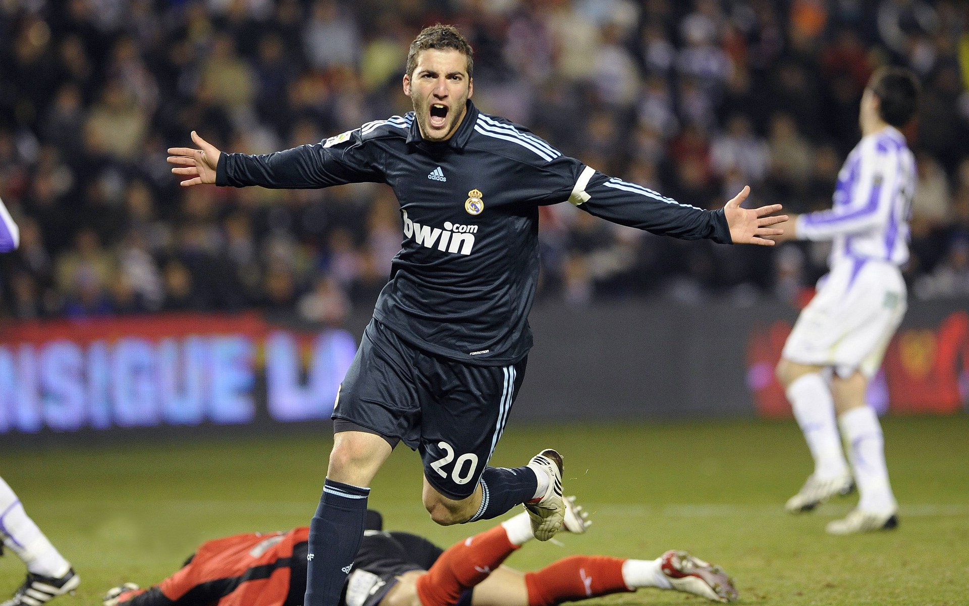 猛龙新援采访谈角色定位，猛龙队球迷