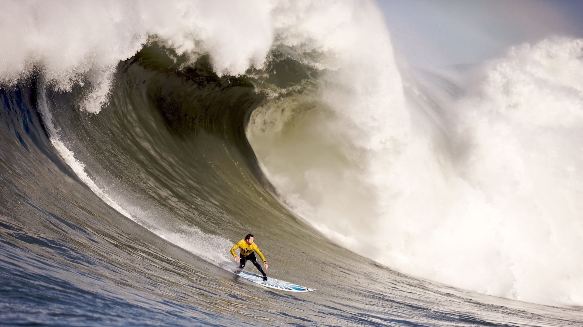 世界游泳锦标赛转播创新互动产品上线，世界游泳锦标赛项目
